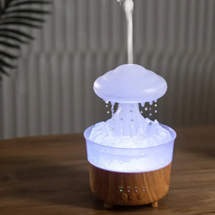 Raincloud Humidifier